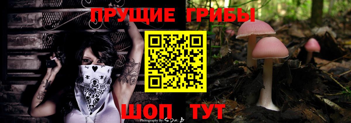 Аксай  Галлюциногенные грибы ЛСД  где продают наркотики  Вход с VPN 